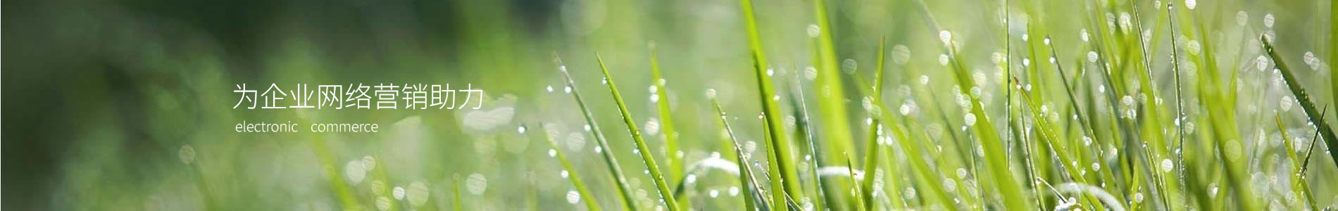 ½̱Ƽ޹˾